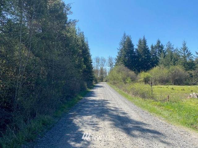 0 Pine Tree Road - Photo 1