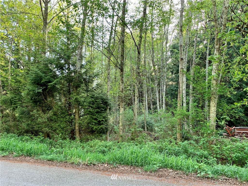 0 Deer Road - Photo 1
