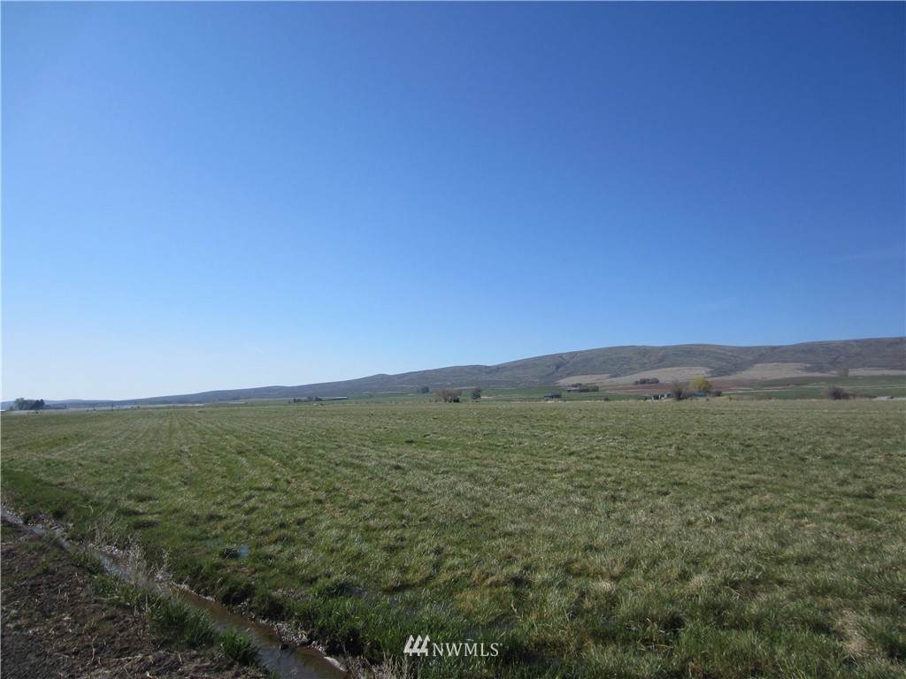 411 Rolling Hill Drive - Photo 1