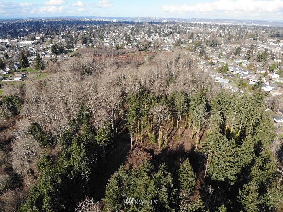 7602 D St Street - Photo 1