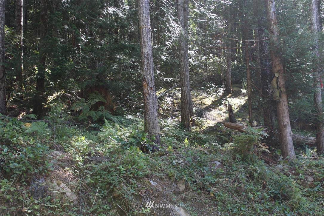 281 Standstill Drive - Photo 1