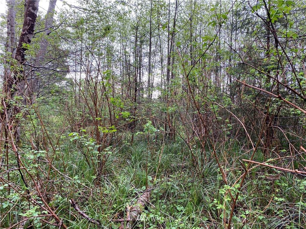 0 Pine Avenue - Photo 1