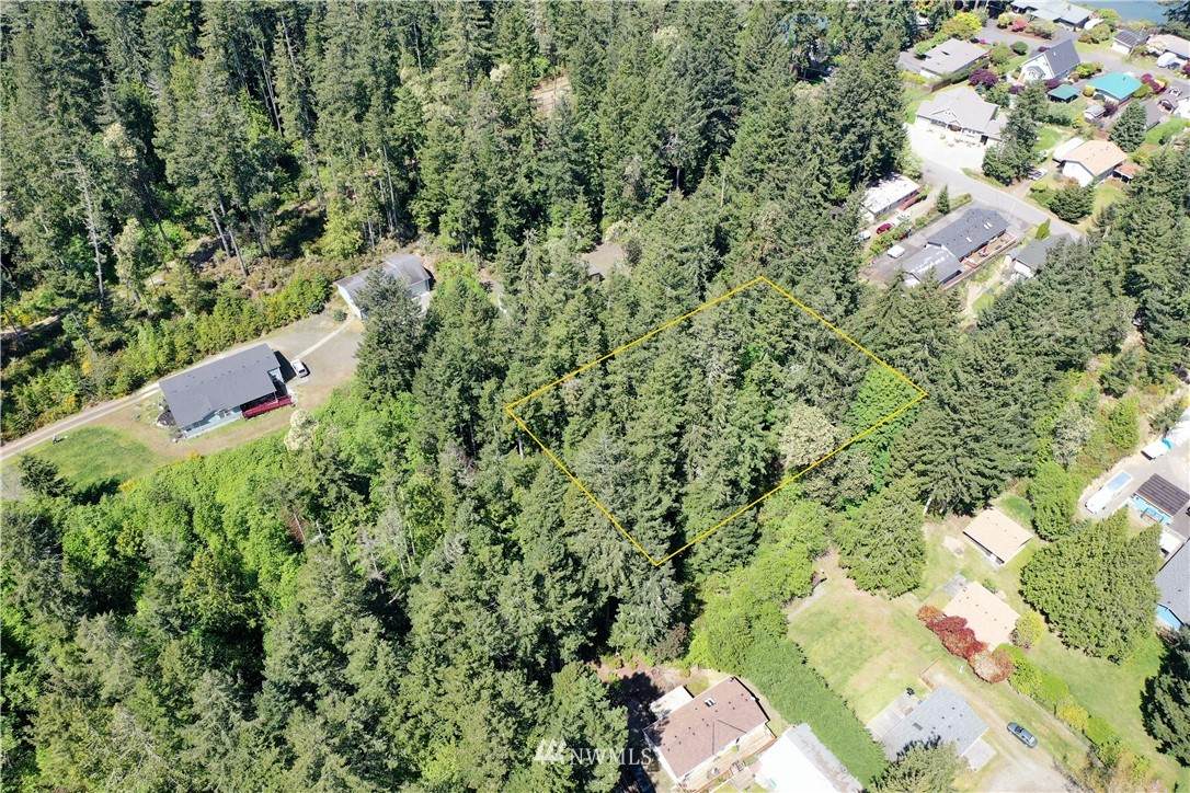 0 Tree Top Lane - Photo 1