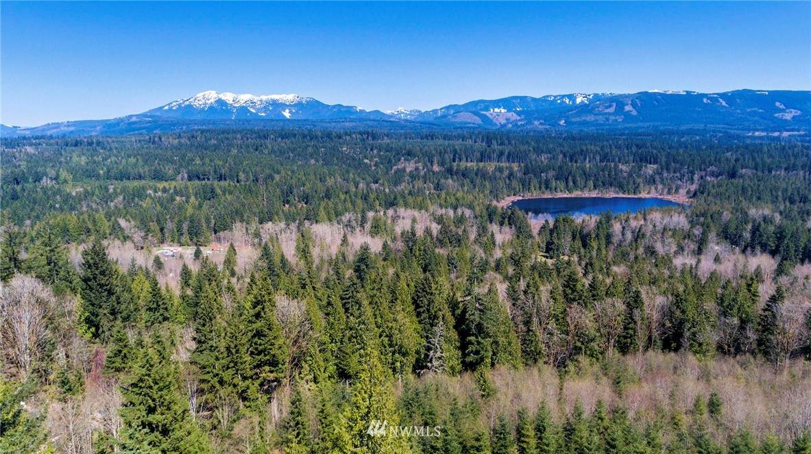8320 Woods Lake Road - Photo 1