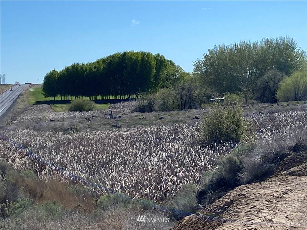 0 Hwy 28 - Photo 1