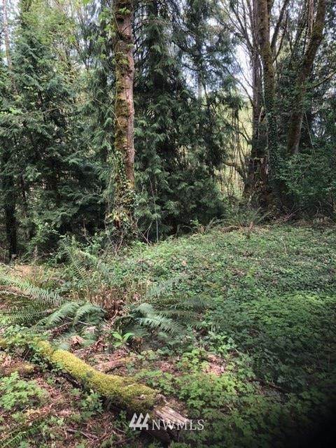 0 Illahee Rd. - Photo 1