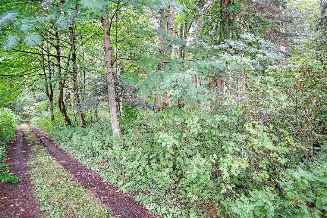 0 Hagen Rd - Photo 1