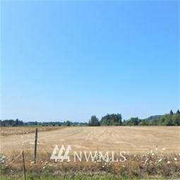 0 Lot 5 Tauscher Road - Photo 1
