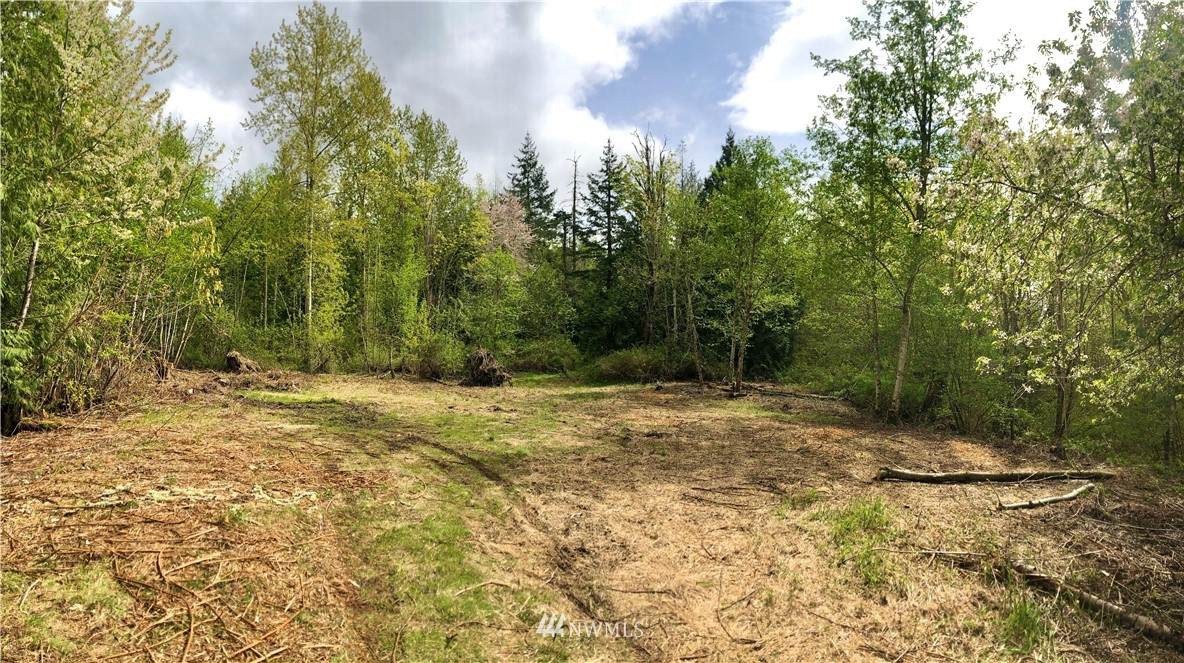 29 XX Mt Baker Hwy - Photo 1