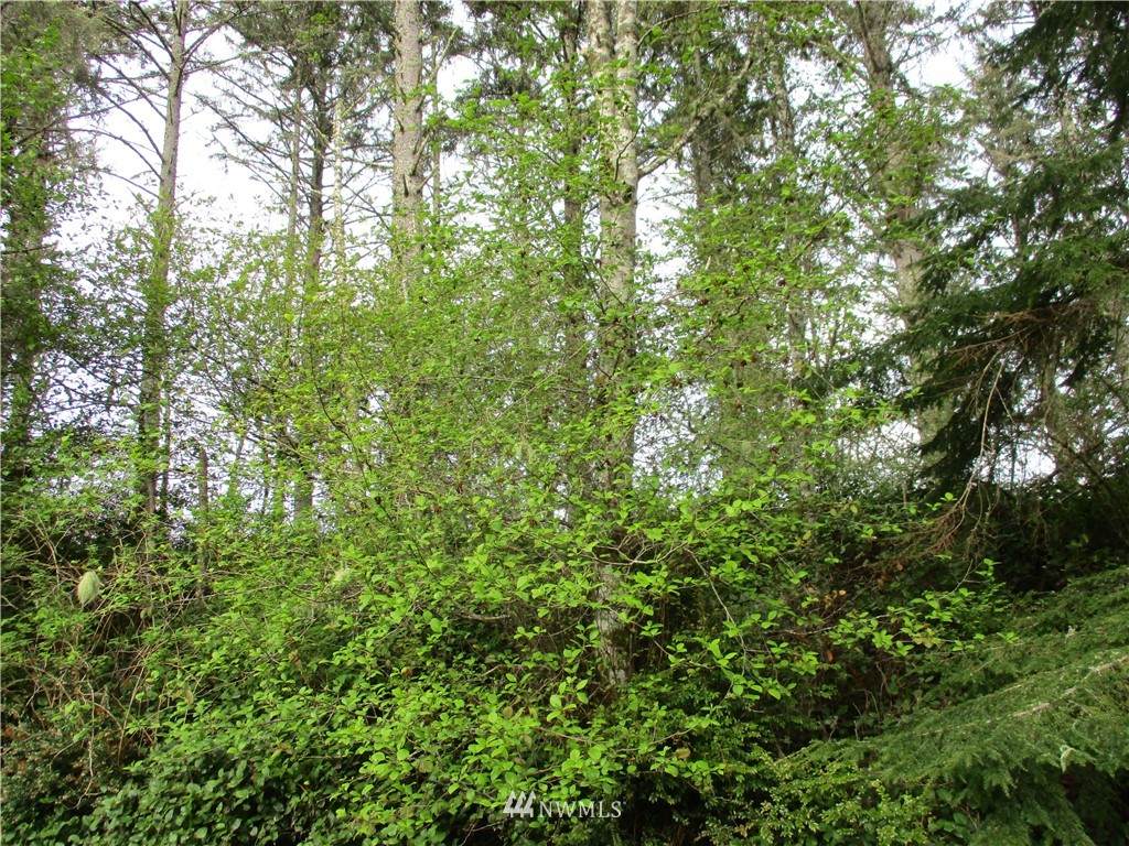 774 Evergreen Avenue - Photo 1