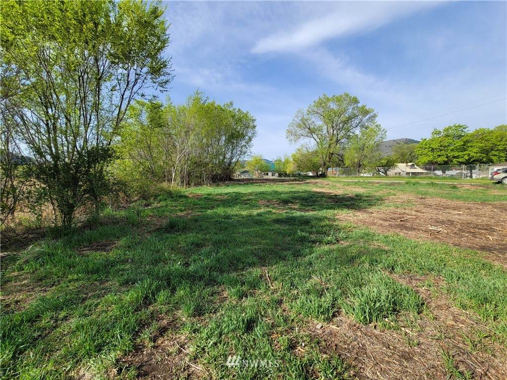 1511 Alder Street - Photo 1