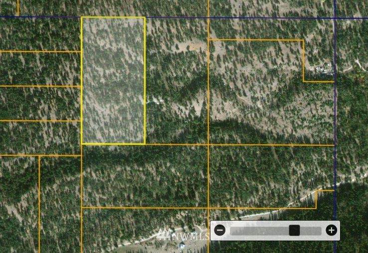 411 TBD Frosty Creek Road - Photo 1