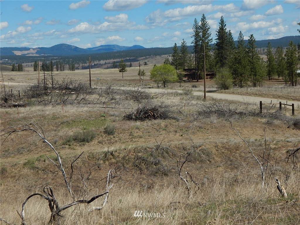 0 Teel Hill Road - Photo 1