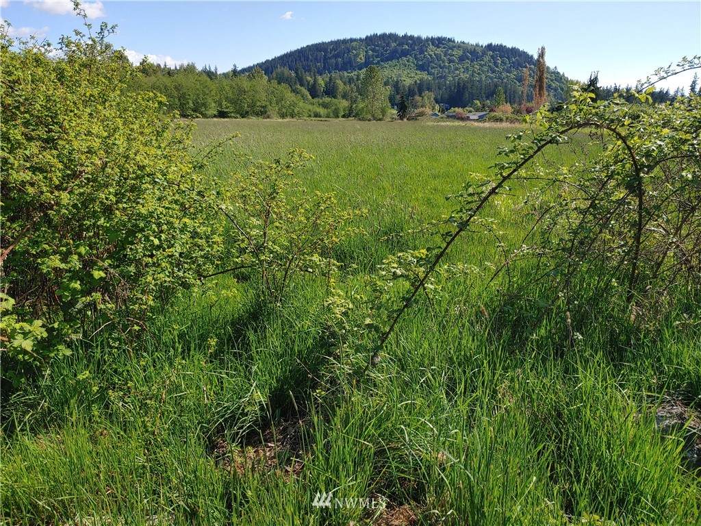 0 Section Street - Photo 1