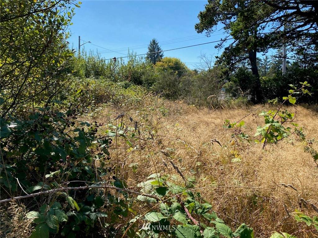 3 Montesano Street - Photo 1