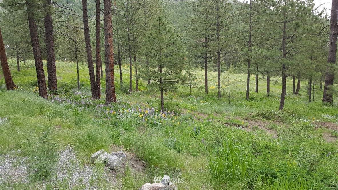 0 Echo Valley Road - Photo 1