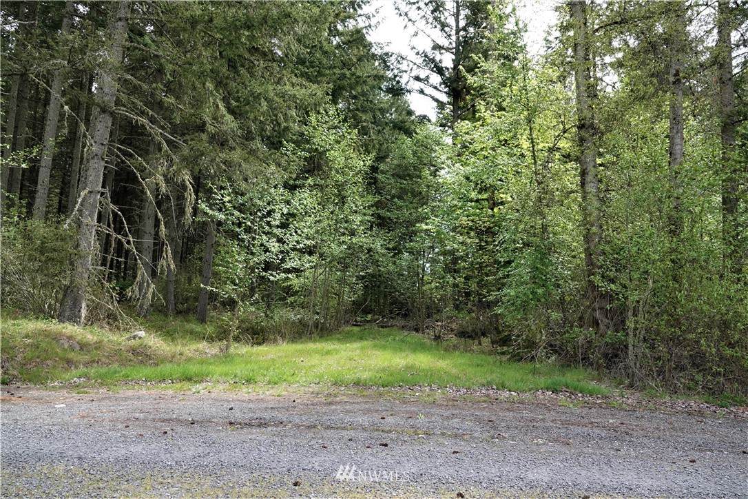 38327 Blueridge Drive - Photo 1