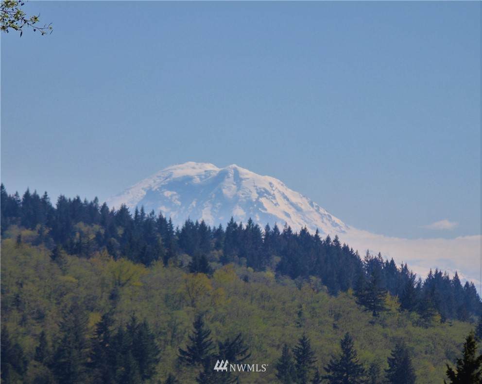 17600 Cougar Mountain Drive - Photo 1