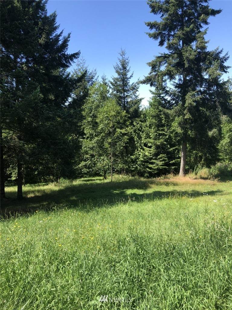 2350 Seminary Hill Road - Photo 1