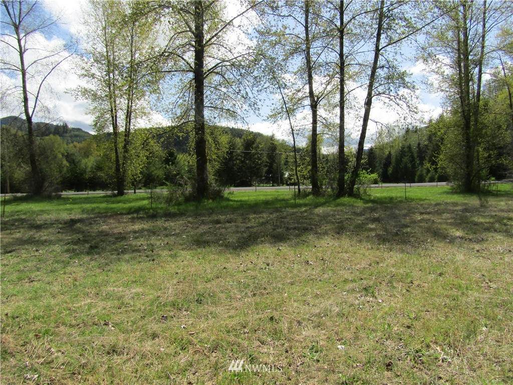 0 Mineral Creek Road - Photo 1