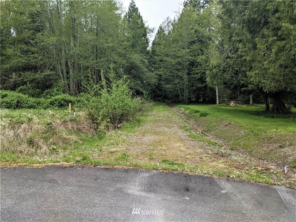 3 Lot Maple Tree Lane - Photo 1