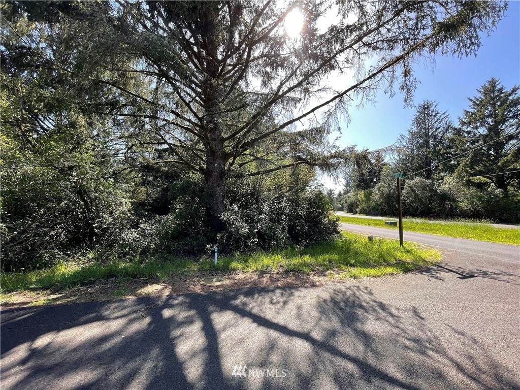 135 Hydrus Court - Photo 1