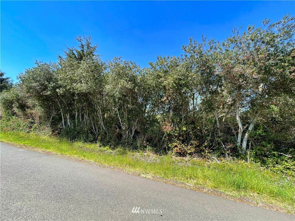 158 Wynoochee Drive - Photo 1