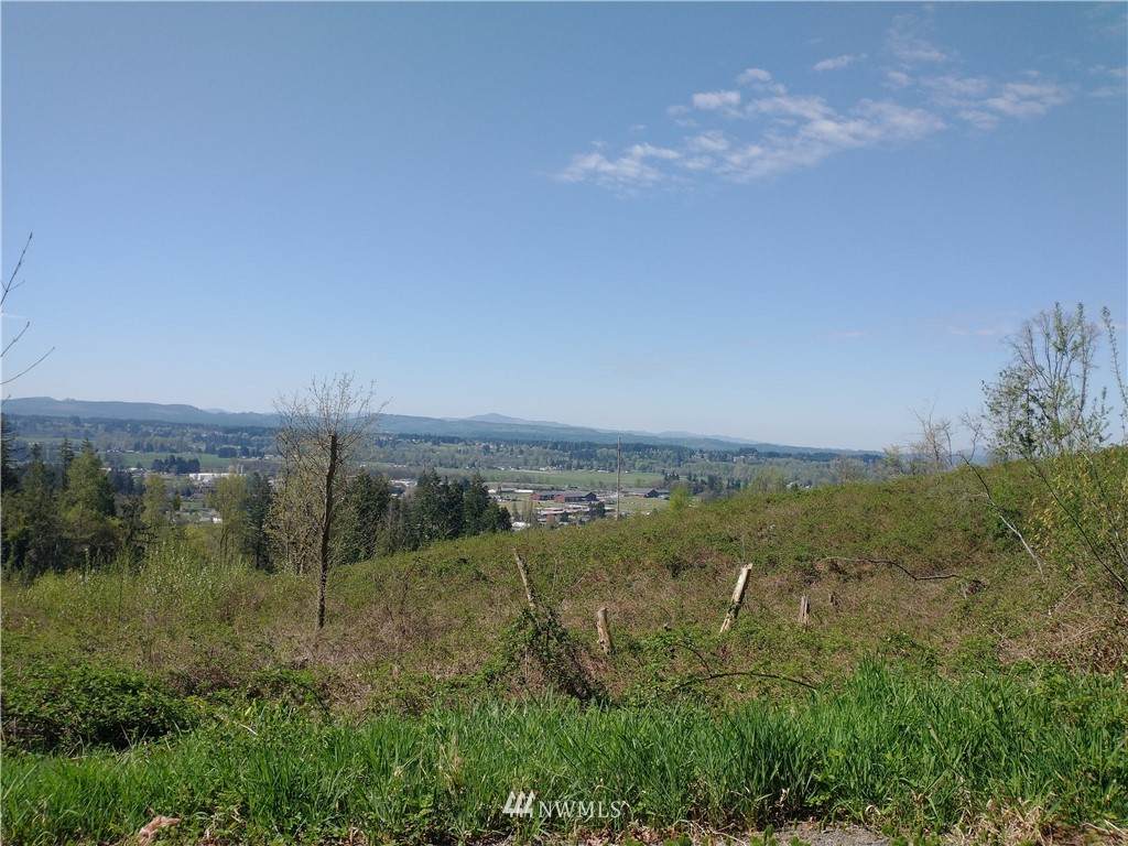 0 Tillicum Drive - Photo 1