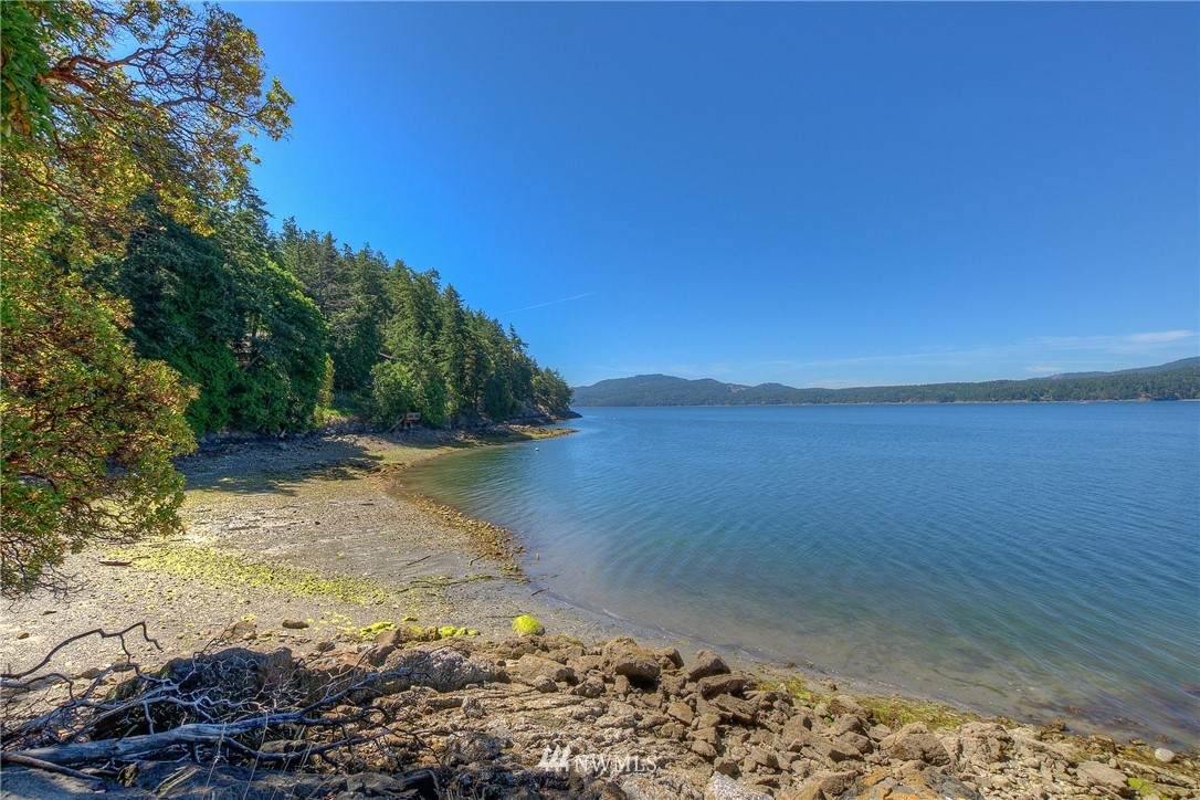 814 Olga Road - Photo 1