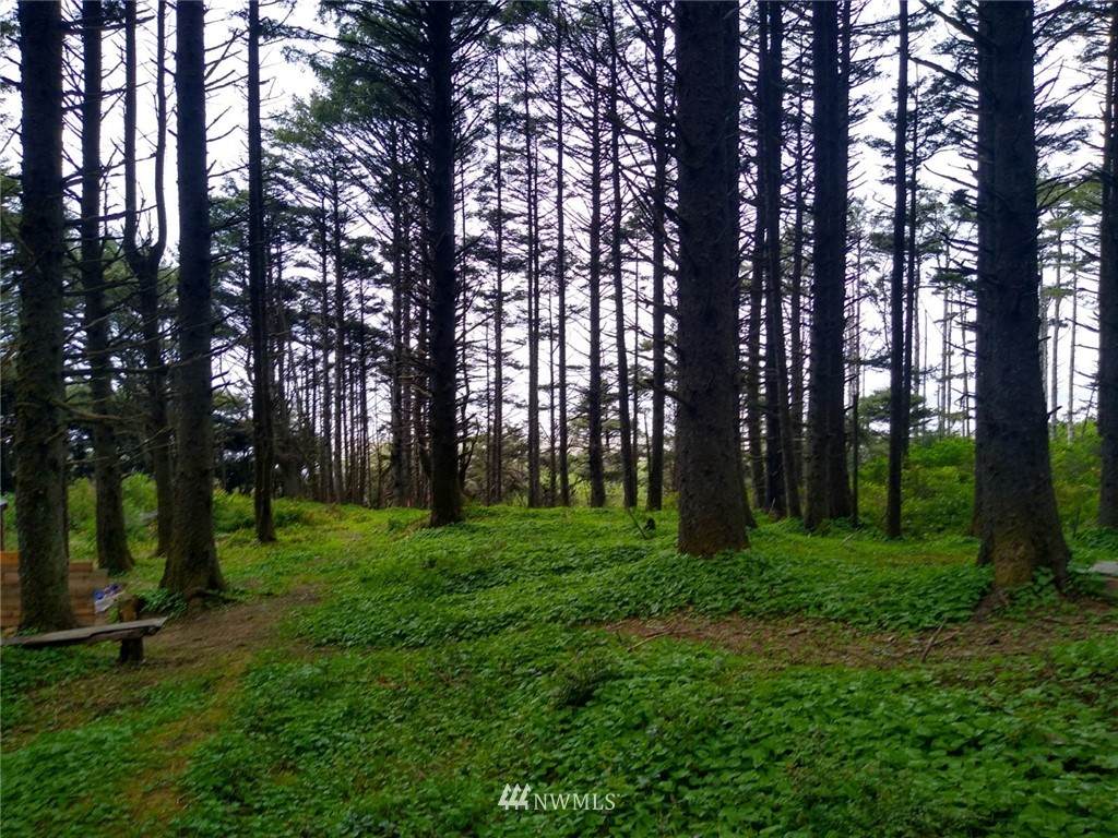 3935 State Route 109 - Photo 1