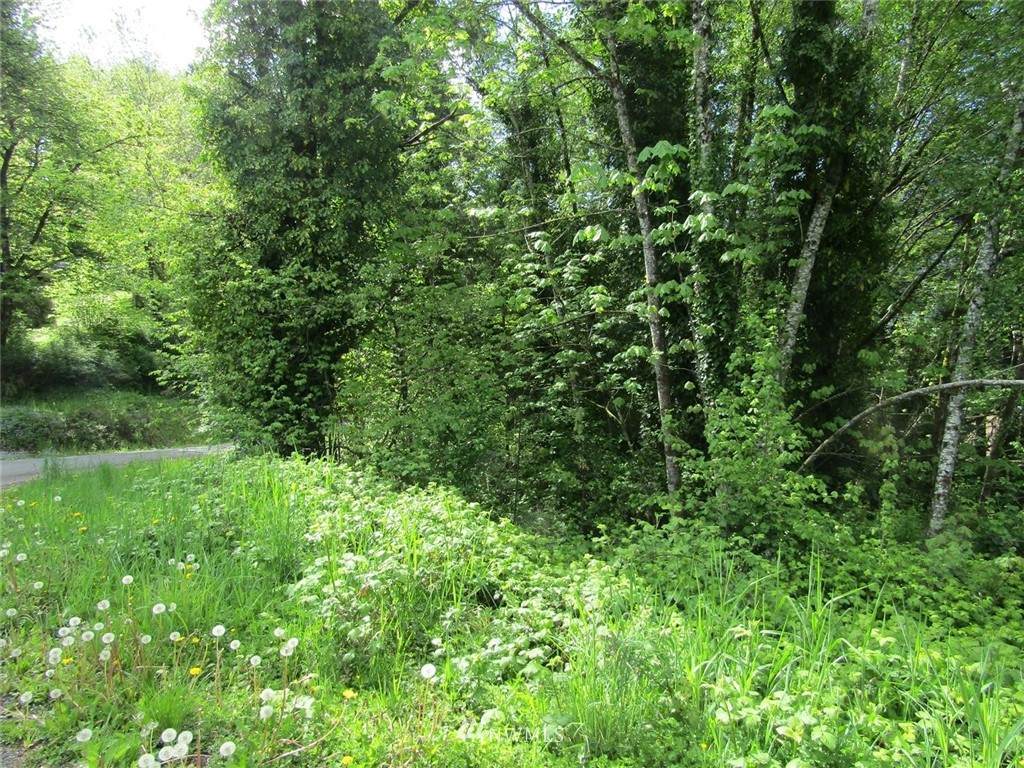 0 0 High Avenue - Photo 1
