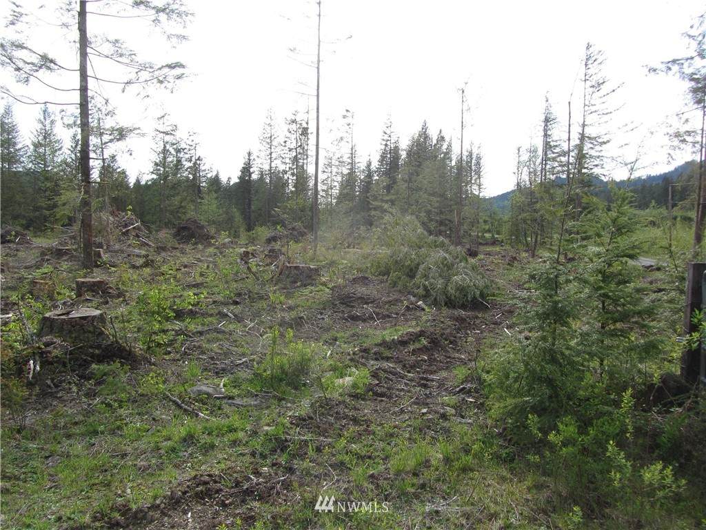 6485 South Pass Road - Photo 1