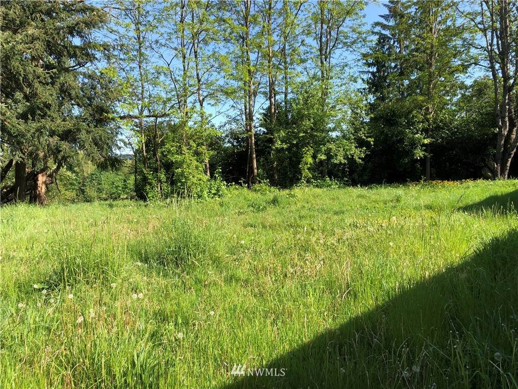 6739 Amar Road - Photo 1