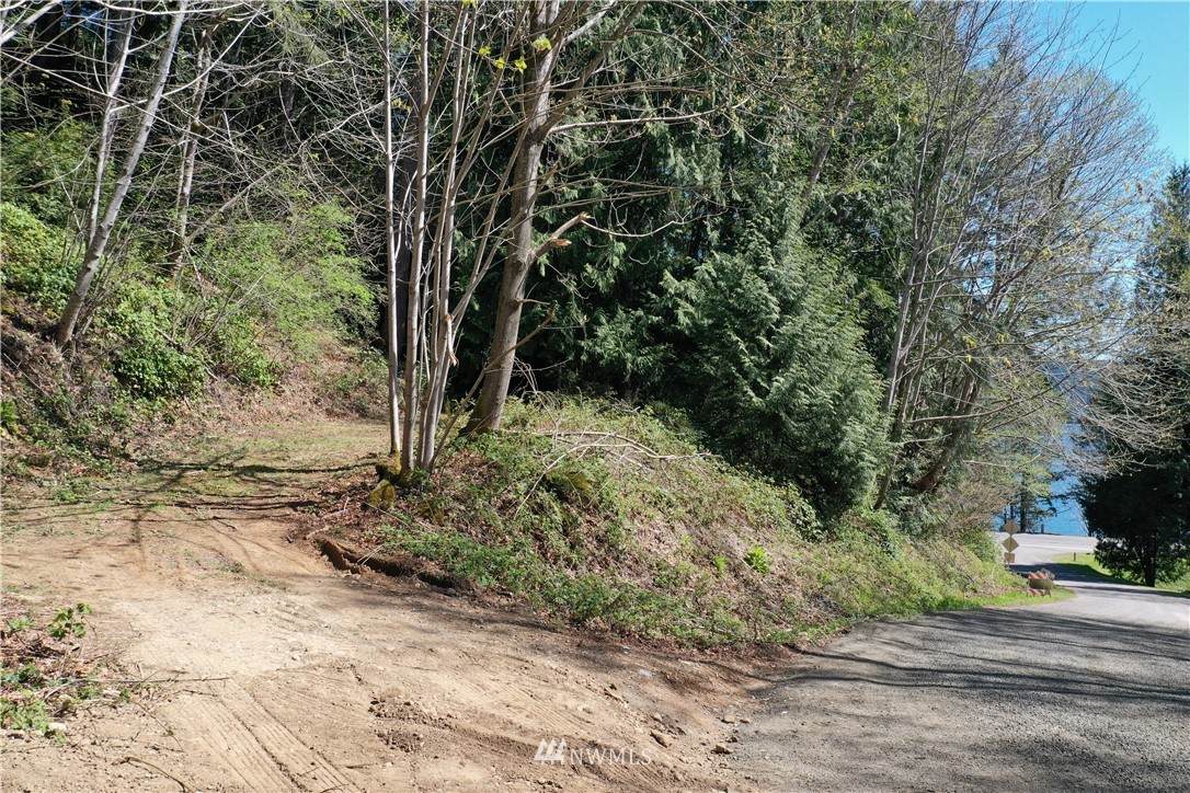 30 Shar Lane - Photo 1