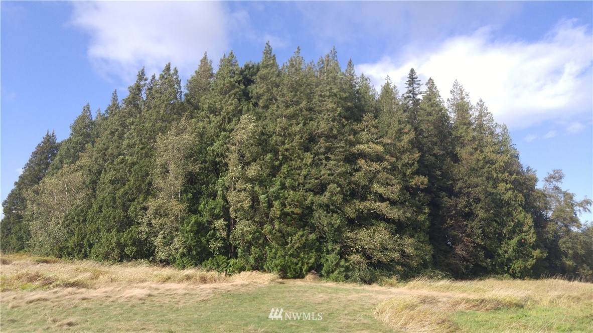 5980 Olson Road - Photo 1
