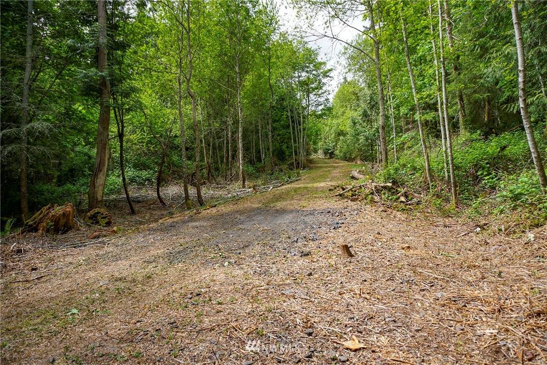 0 San Juan Hill Lane - Photo 1