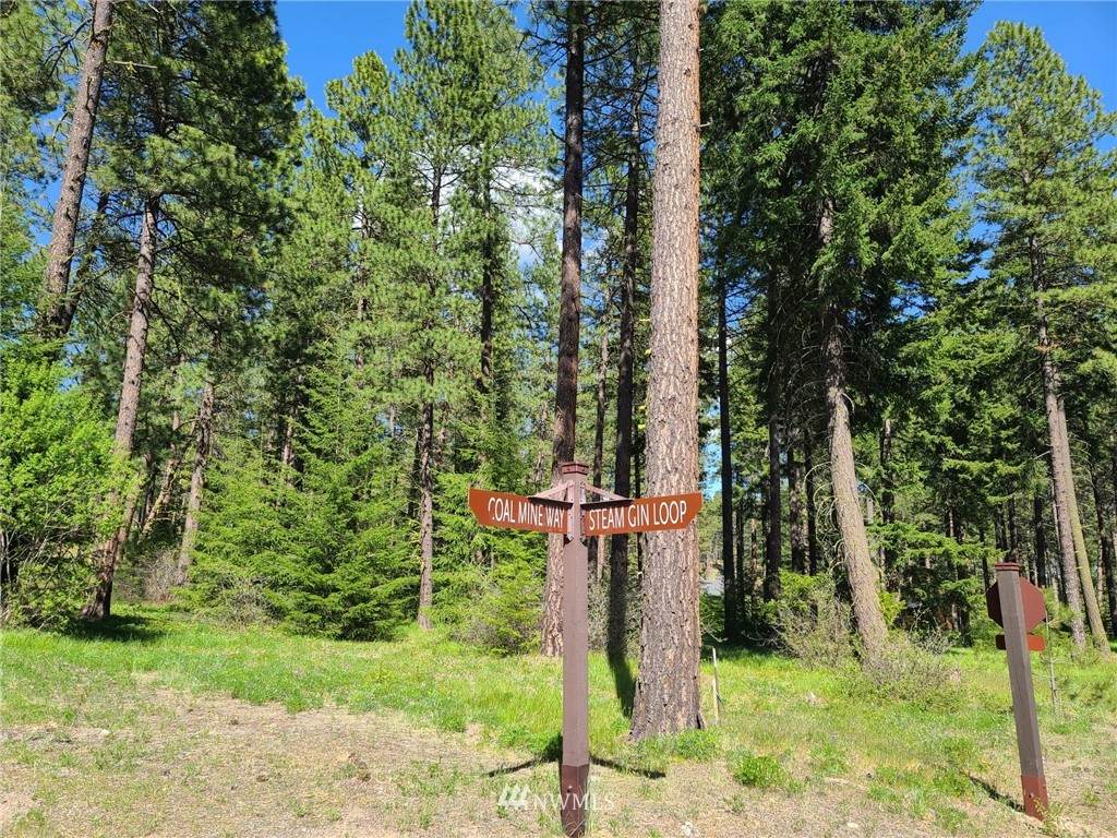 1810 Coal Mine Way - Photo 1