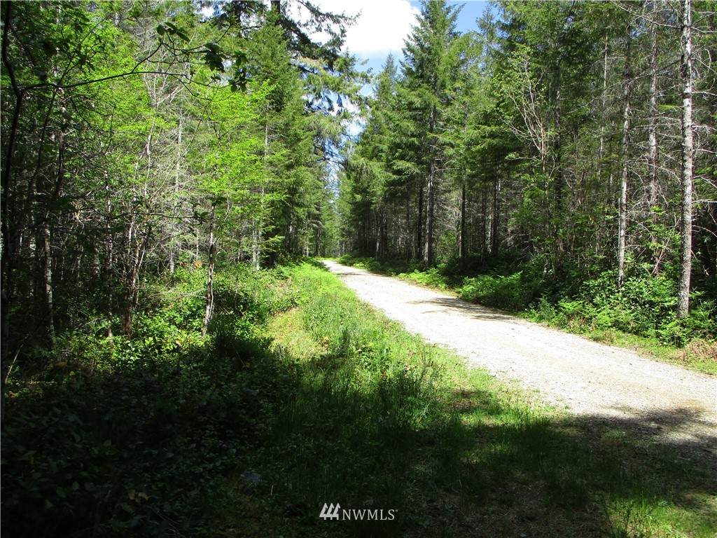 0 Tr 12 Of Survey 2/134 Nw 1/4 - Photo 1