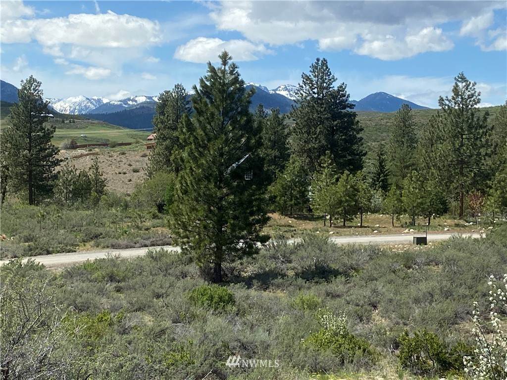 14 River Rock Rd - Photo 1