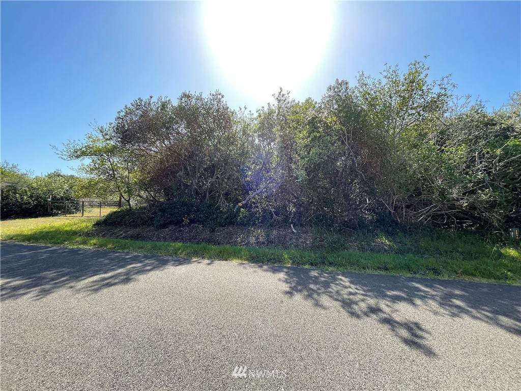 335 Wynoochee Drive - Photo 1