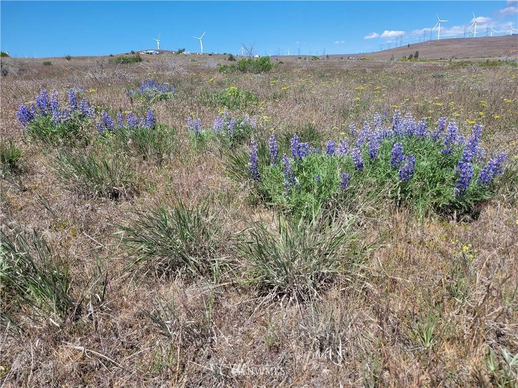 5 Lot Hwy 97 - Photo 1