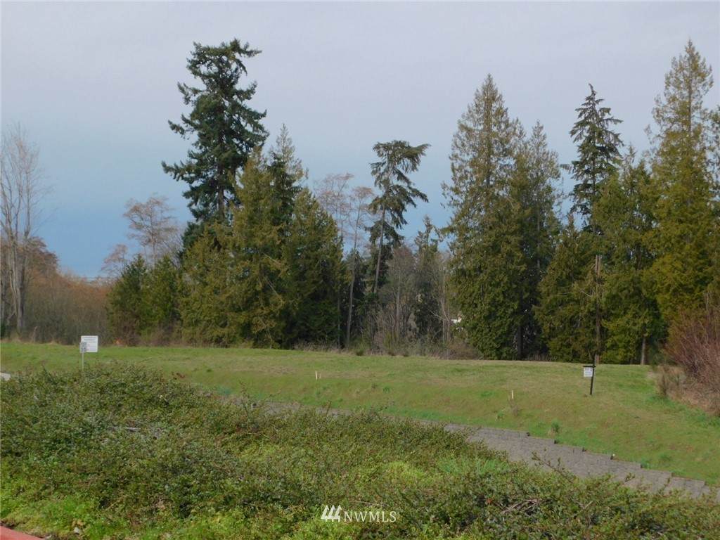 9999 Highway 101 - Joshuas - Photo 1