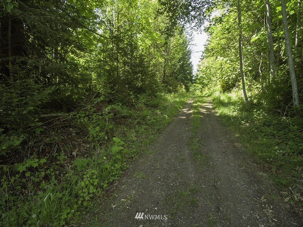 99 Bagley Creek Road - Photo 1
