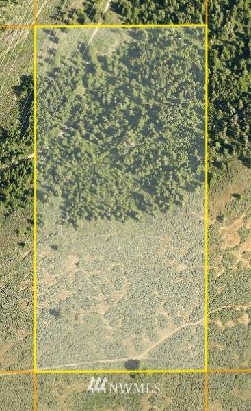 6 XX Chipmunk Trail - Photo 1