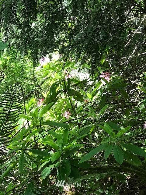 0 Vetter Road - Photo 1