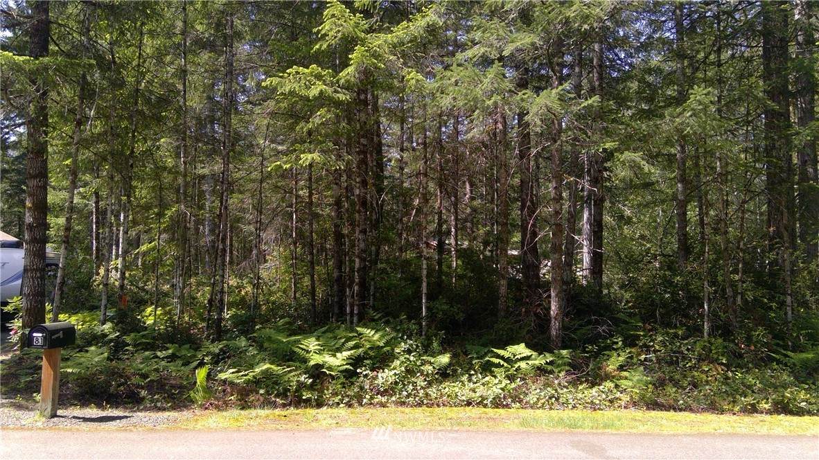 80 Dogwood Lane - Photo 1