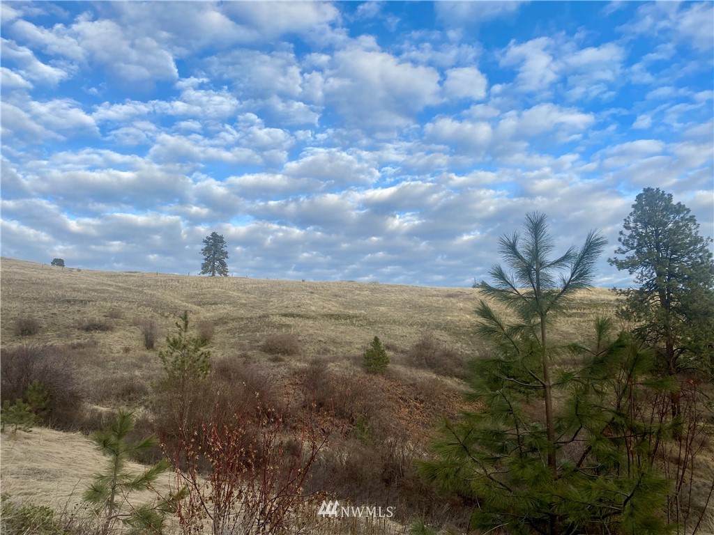 0 Skyvista Lane - Photo 1
