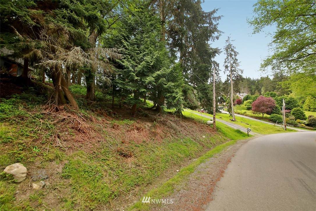 0 Honeymoon Lake Drive - Photo 1