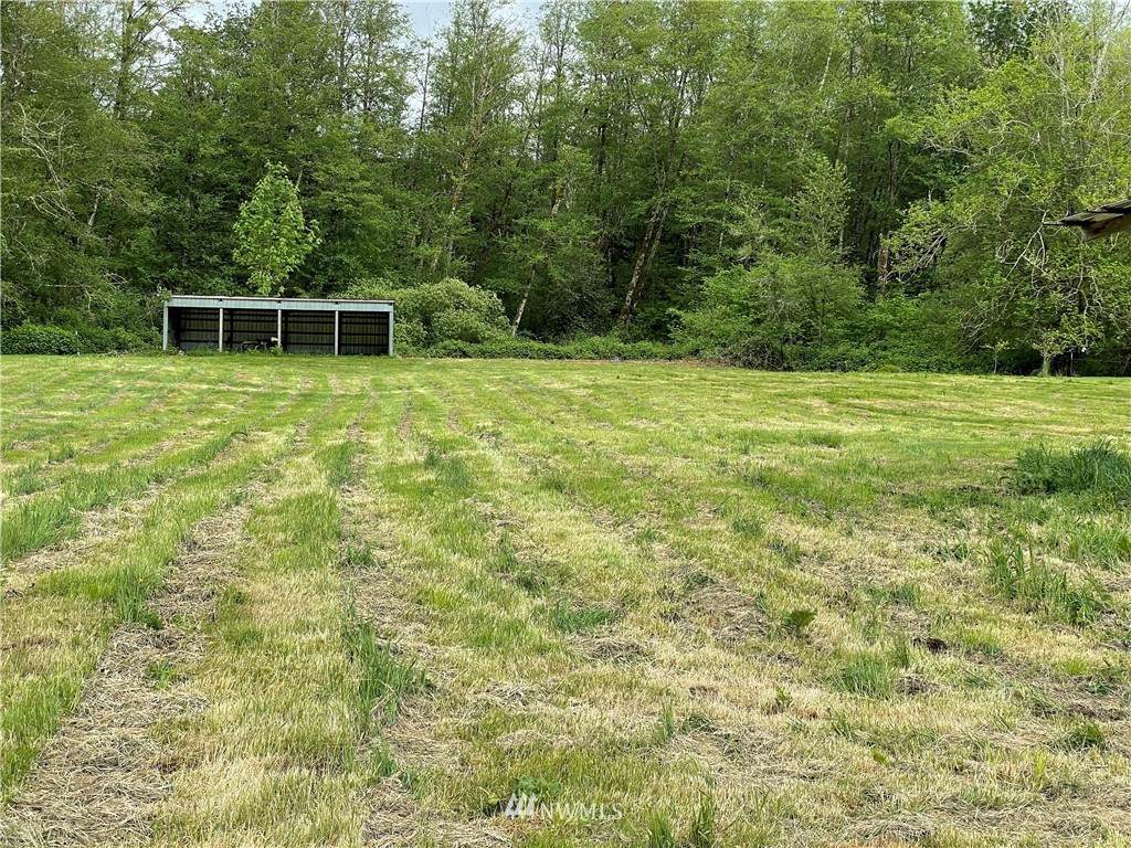 24031 Wallitner Road - Photo 1