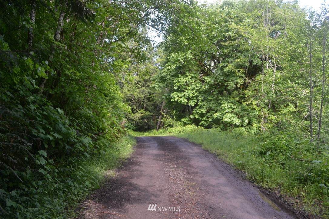 0 Coyote Canyon Road - Photo 1